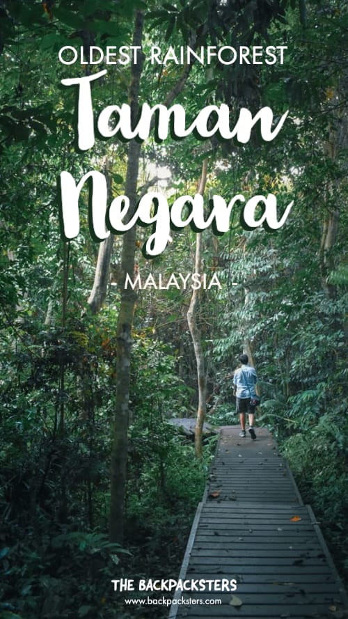 Taman Negara Rainforest Malaysia