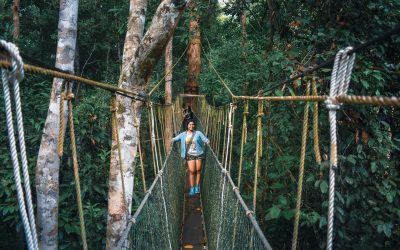 Taman Negara, The World’s Oldest Rainforest